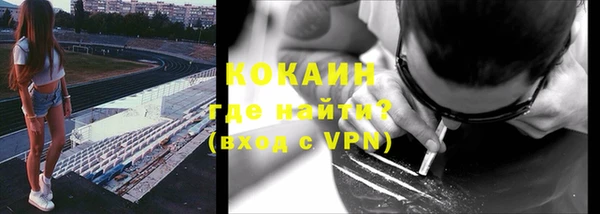 крисы Заводоуковск