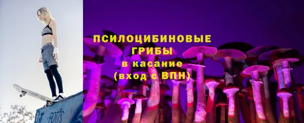 крисы Заводоуковск