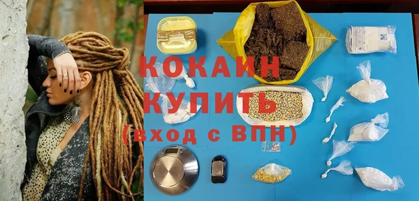 крисы Заводоуковск